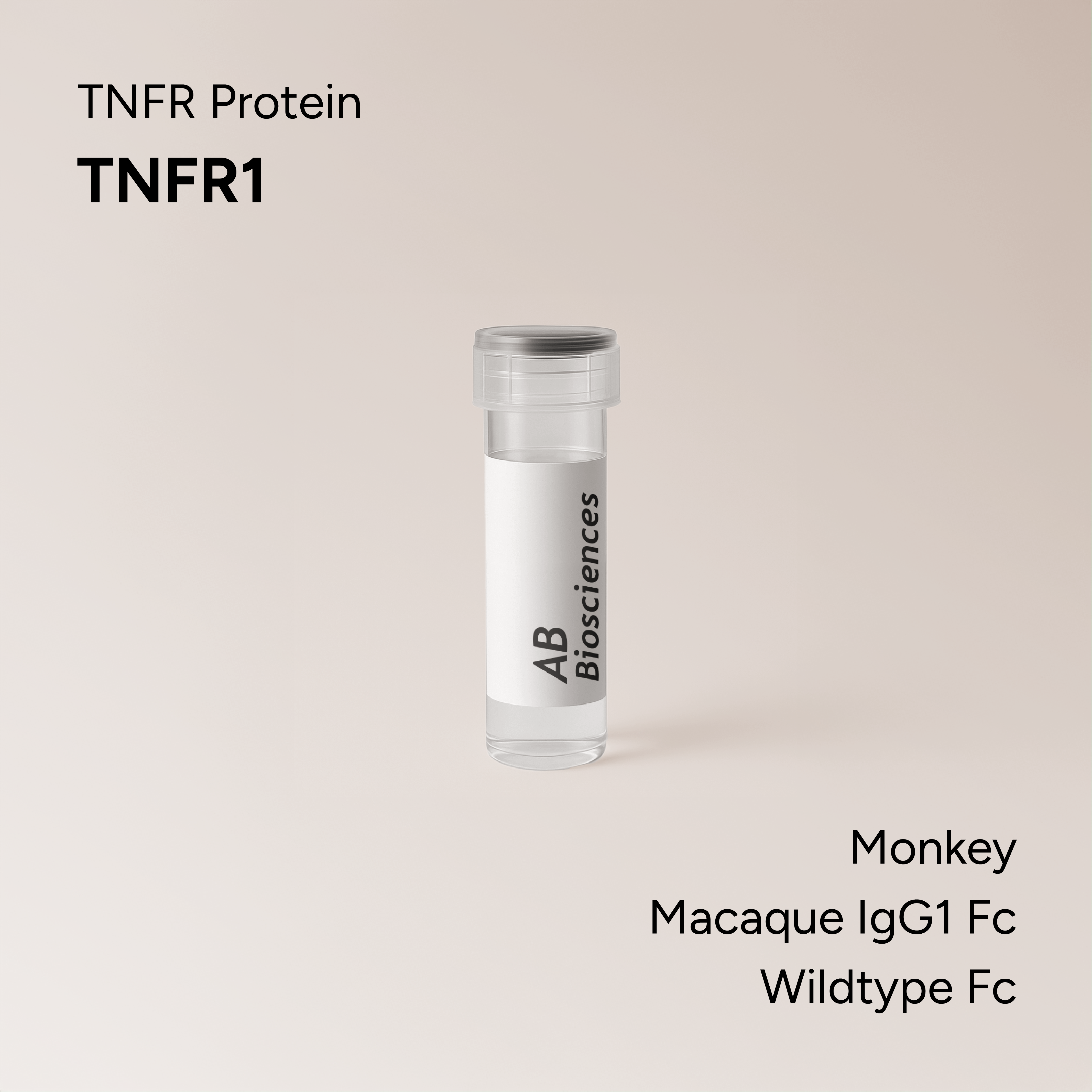 Macaque TNFR1 Macaque IgG1 Wildtype Fc
