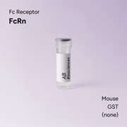 Mouse FcRn GST