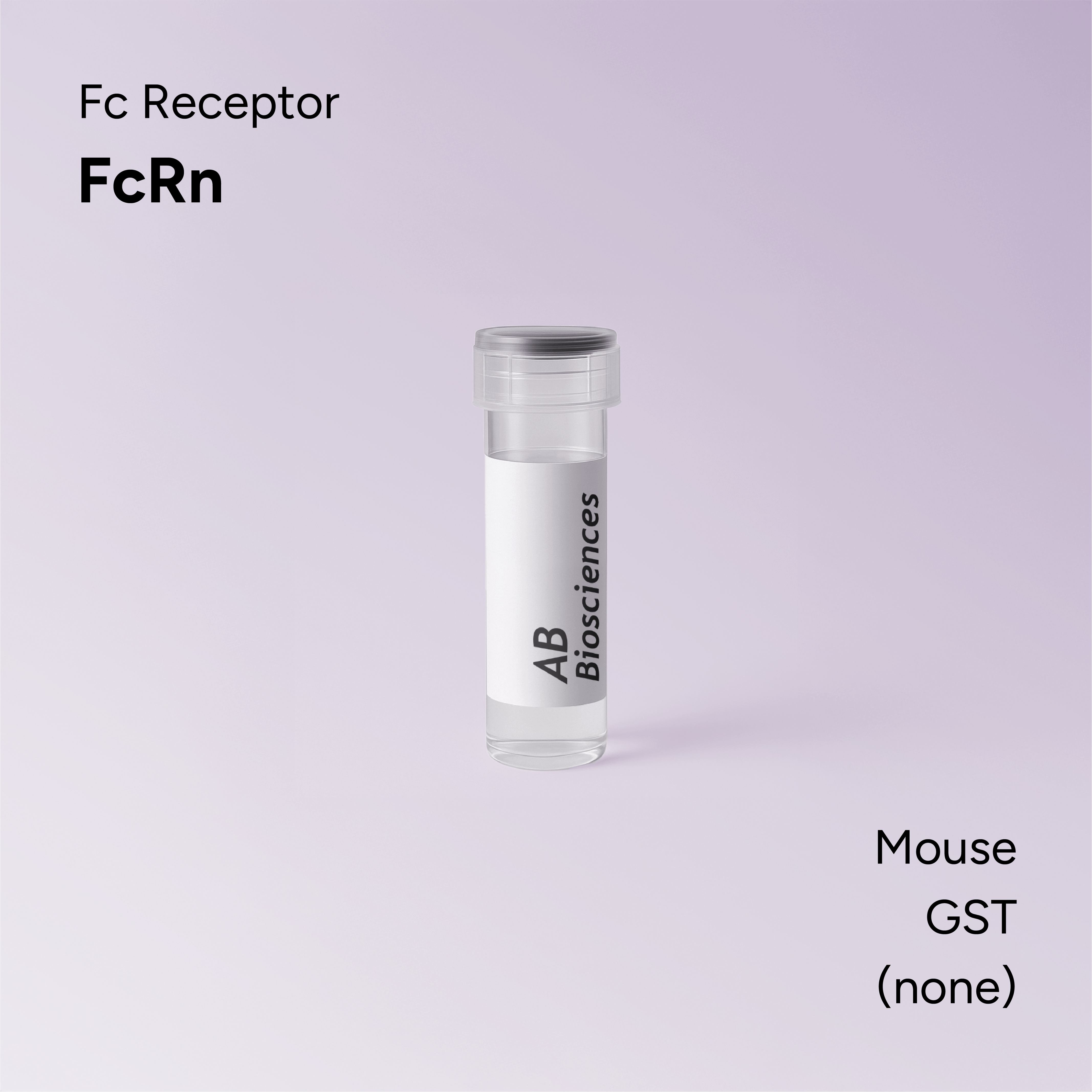 Mouse FcRn GST
