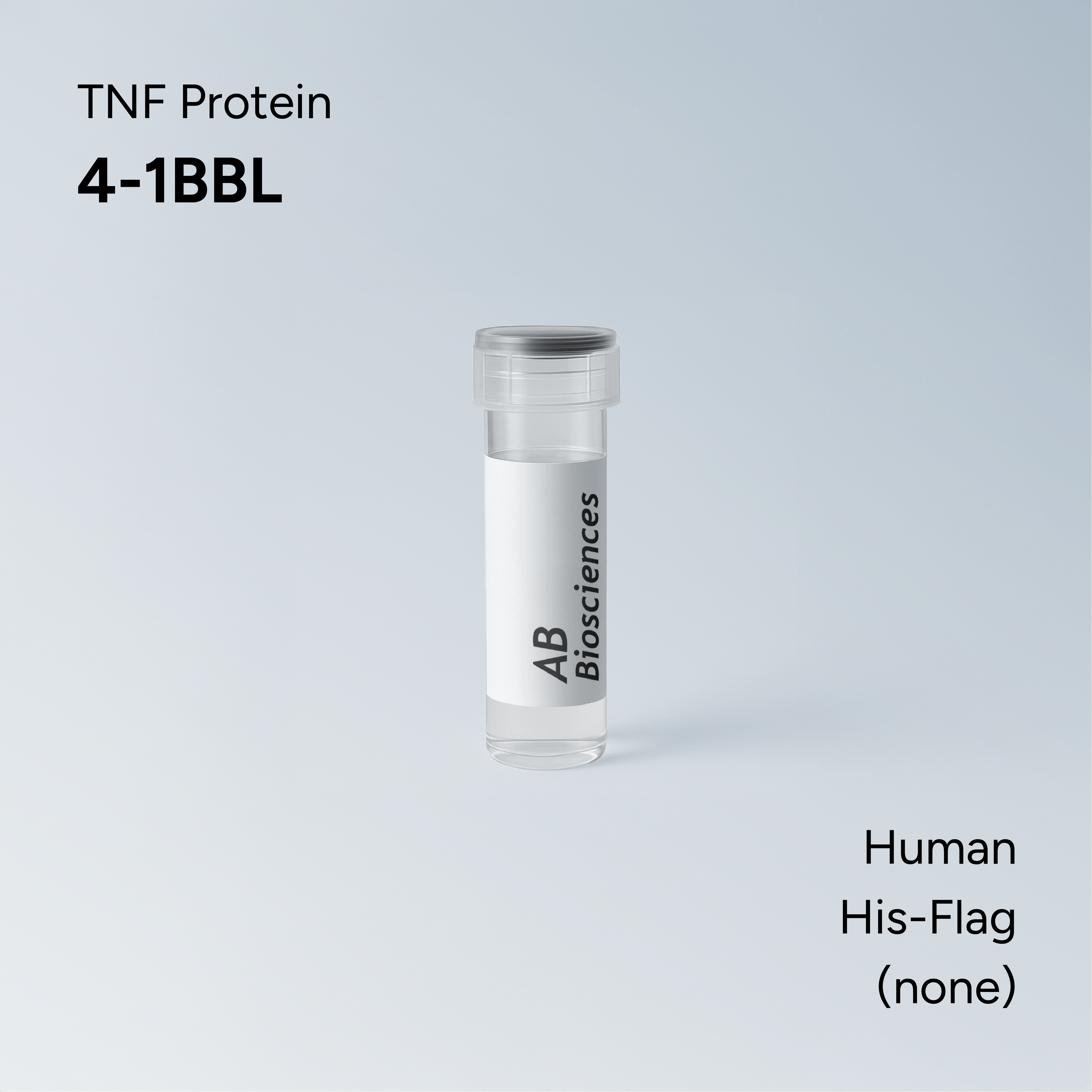 Human 4-1BBL His-Flag