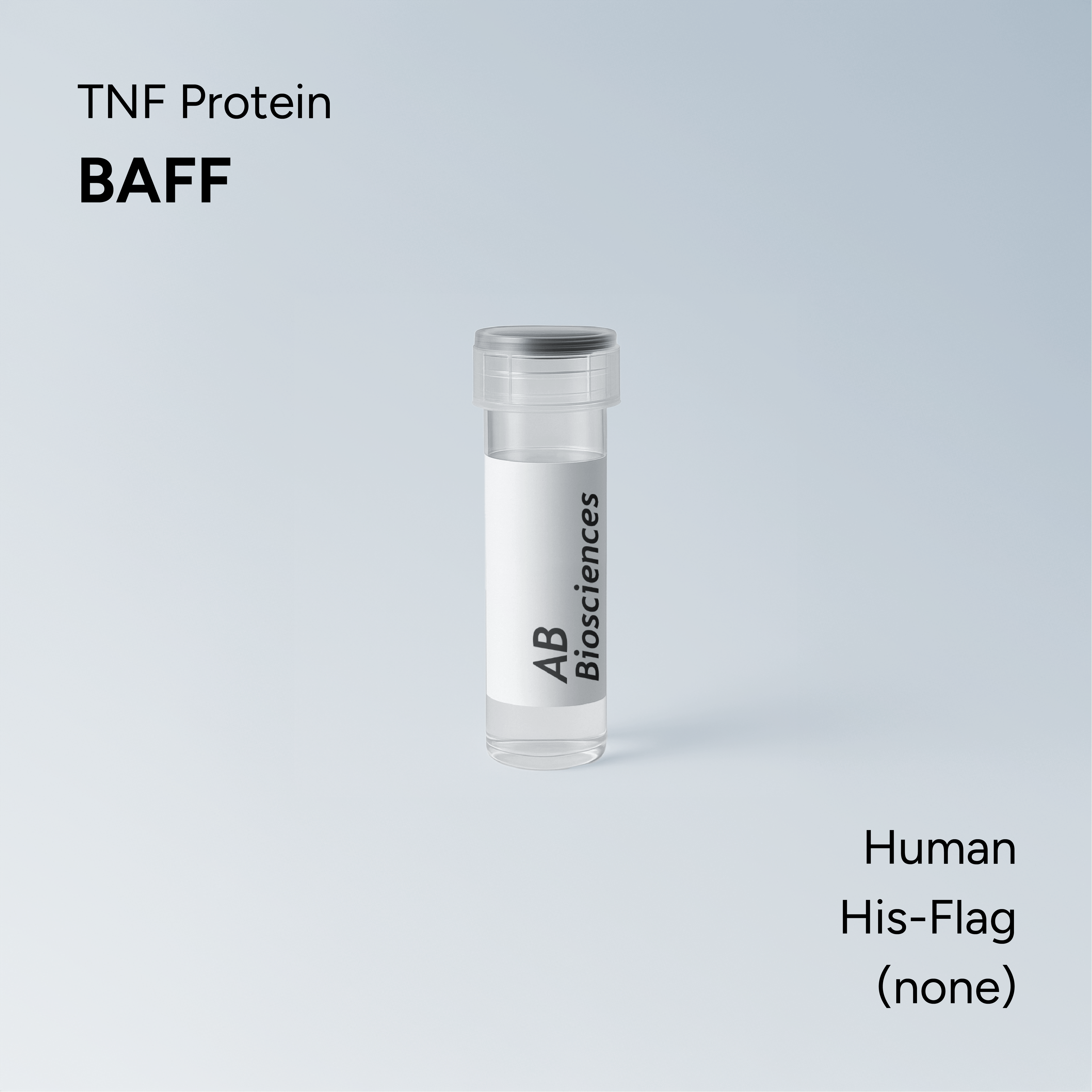 Human BAFF His-Flag