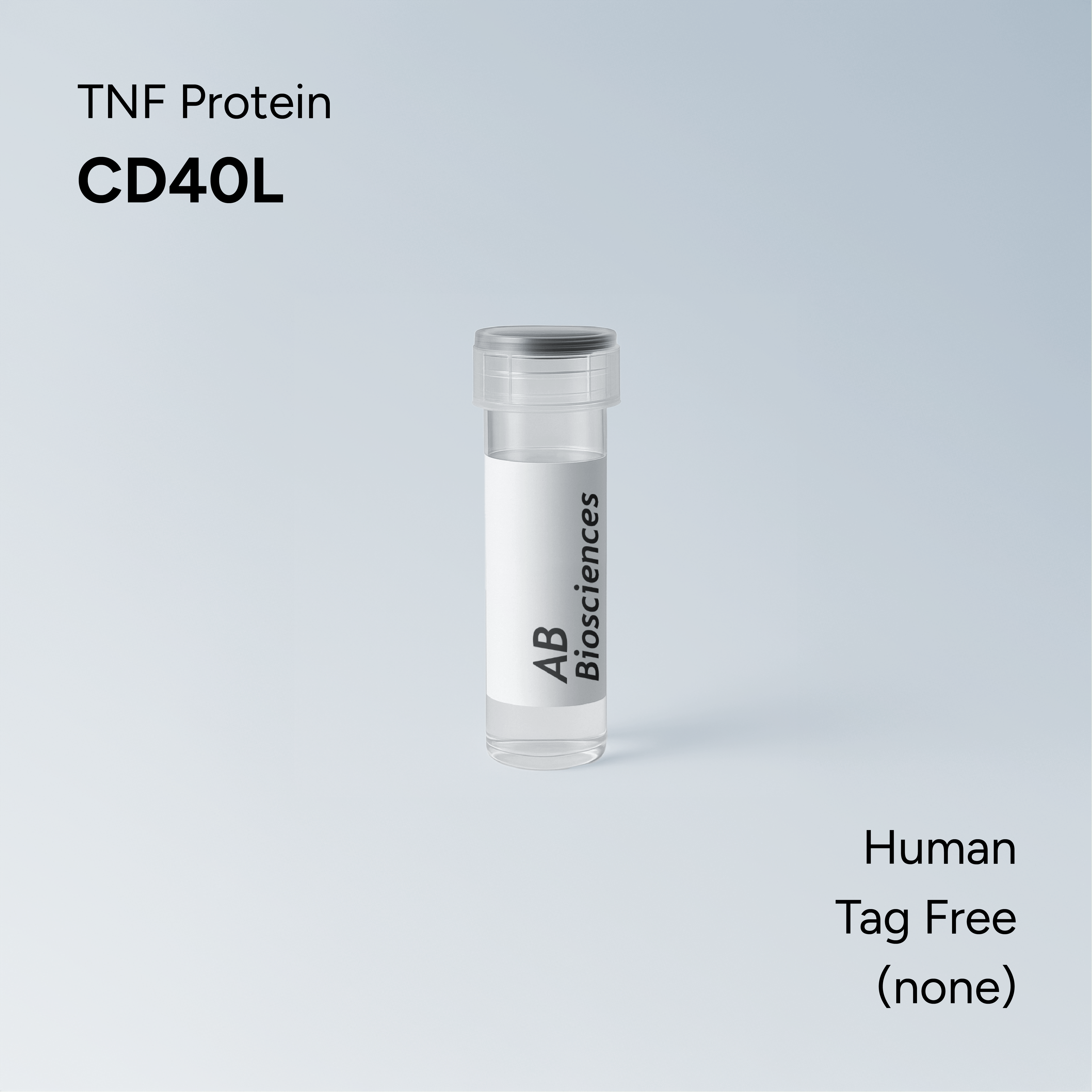 Human CD40L Tag Free