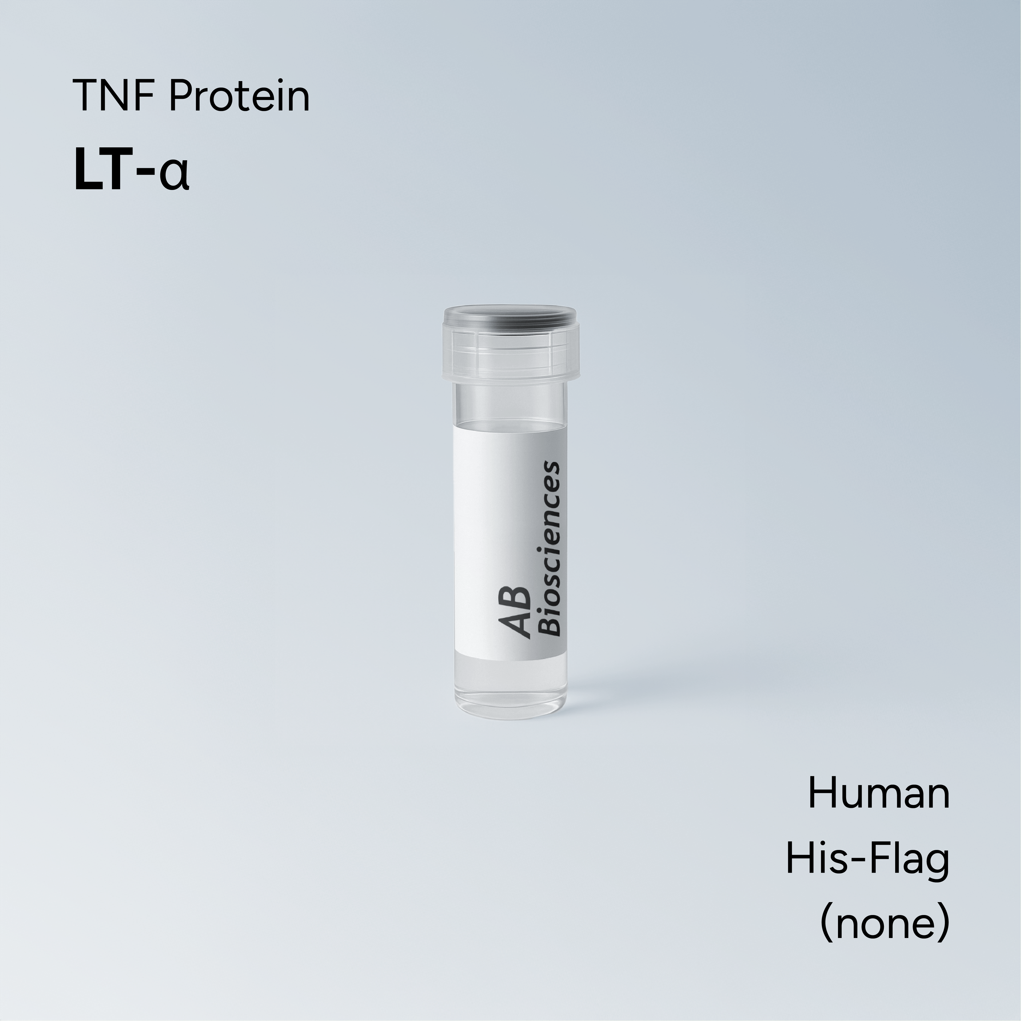 Human LT-α His-Flag
