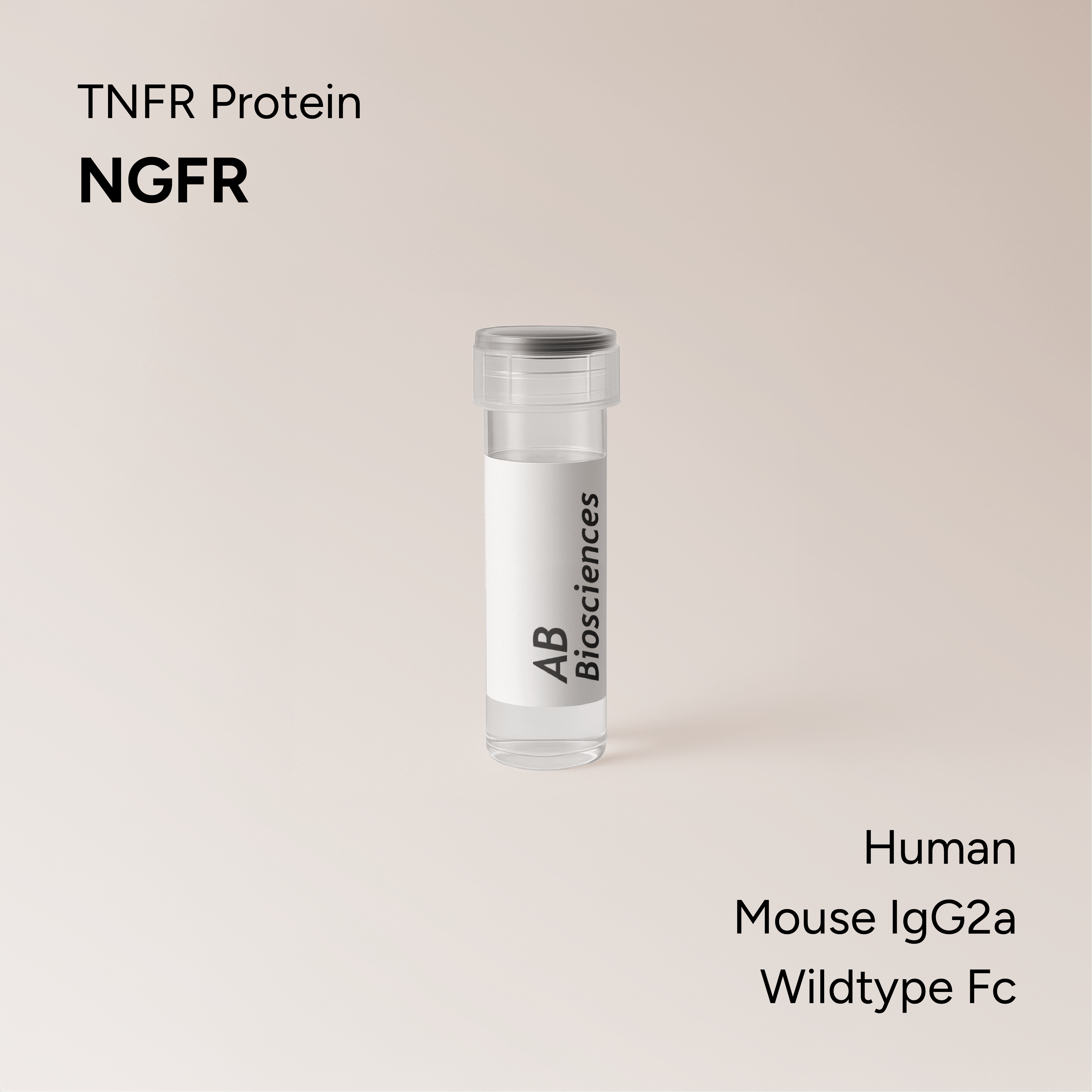 Human NGFR Mouse IgG2a Wildtype Fc