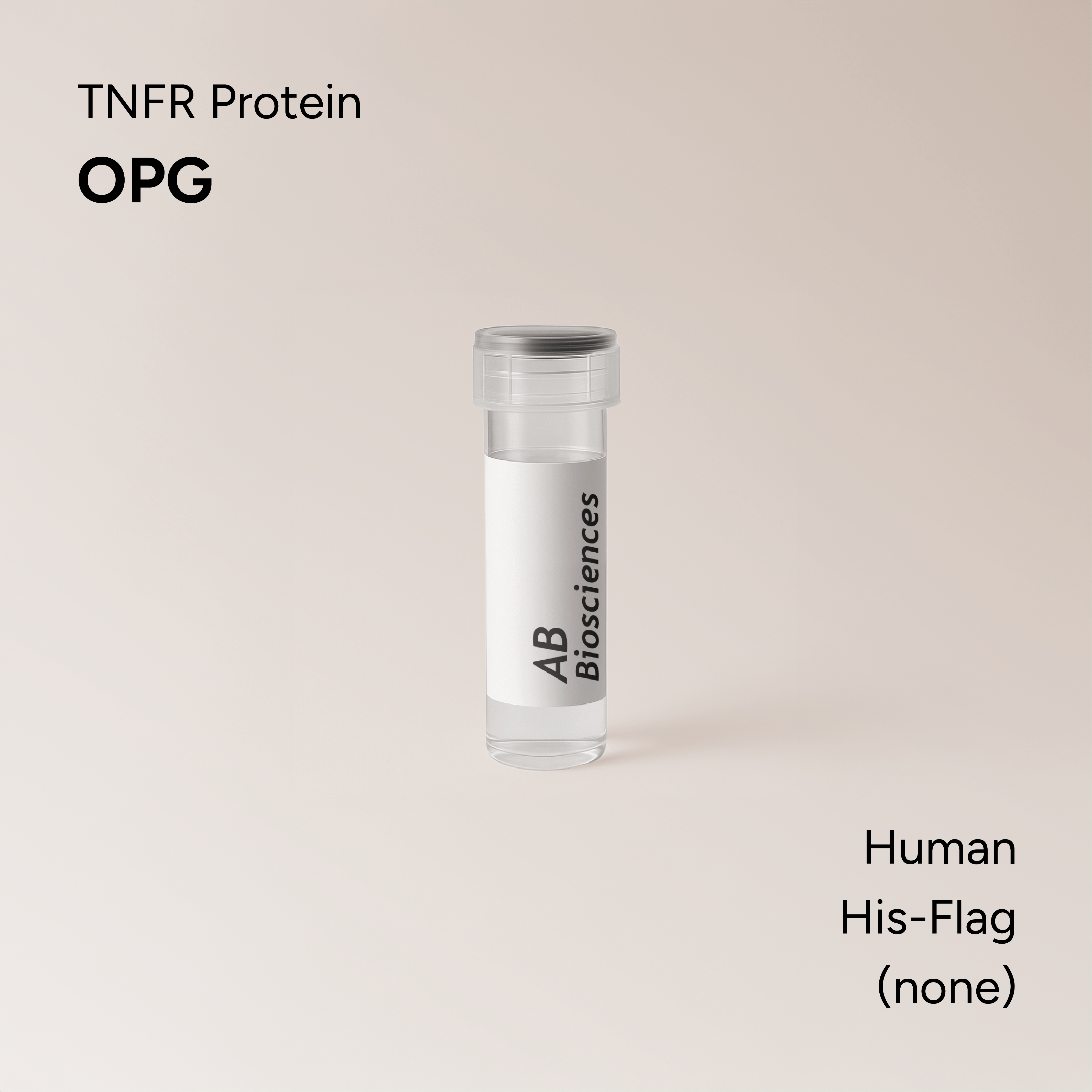 Human OPG His-FLAG-Myc-Tag