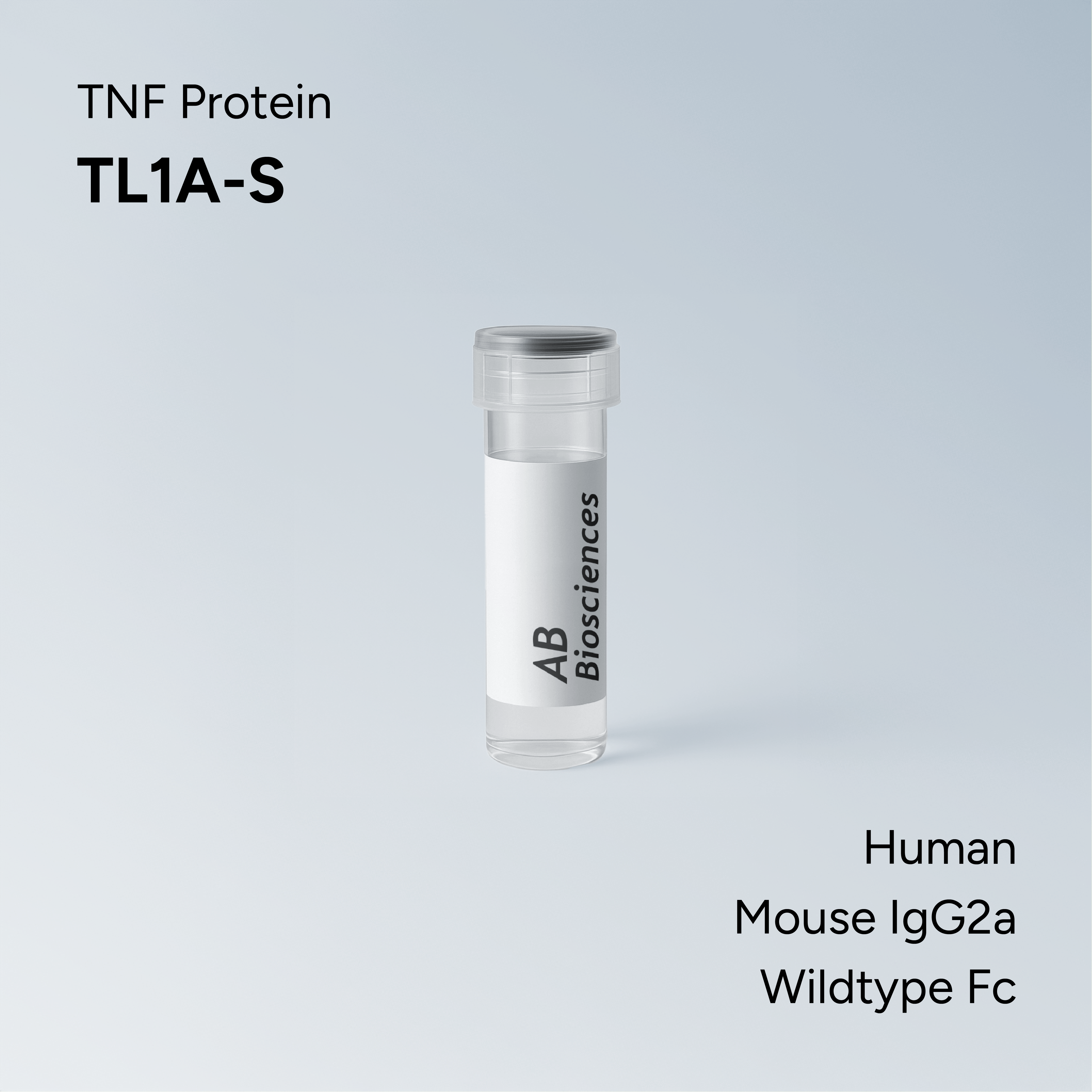 Human TL1A-S Mouse IgG2a Wildtype Fc