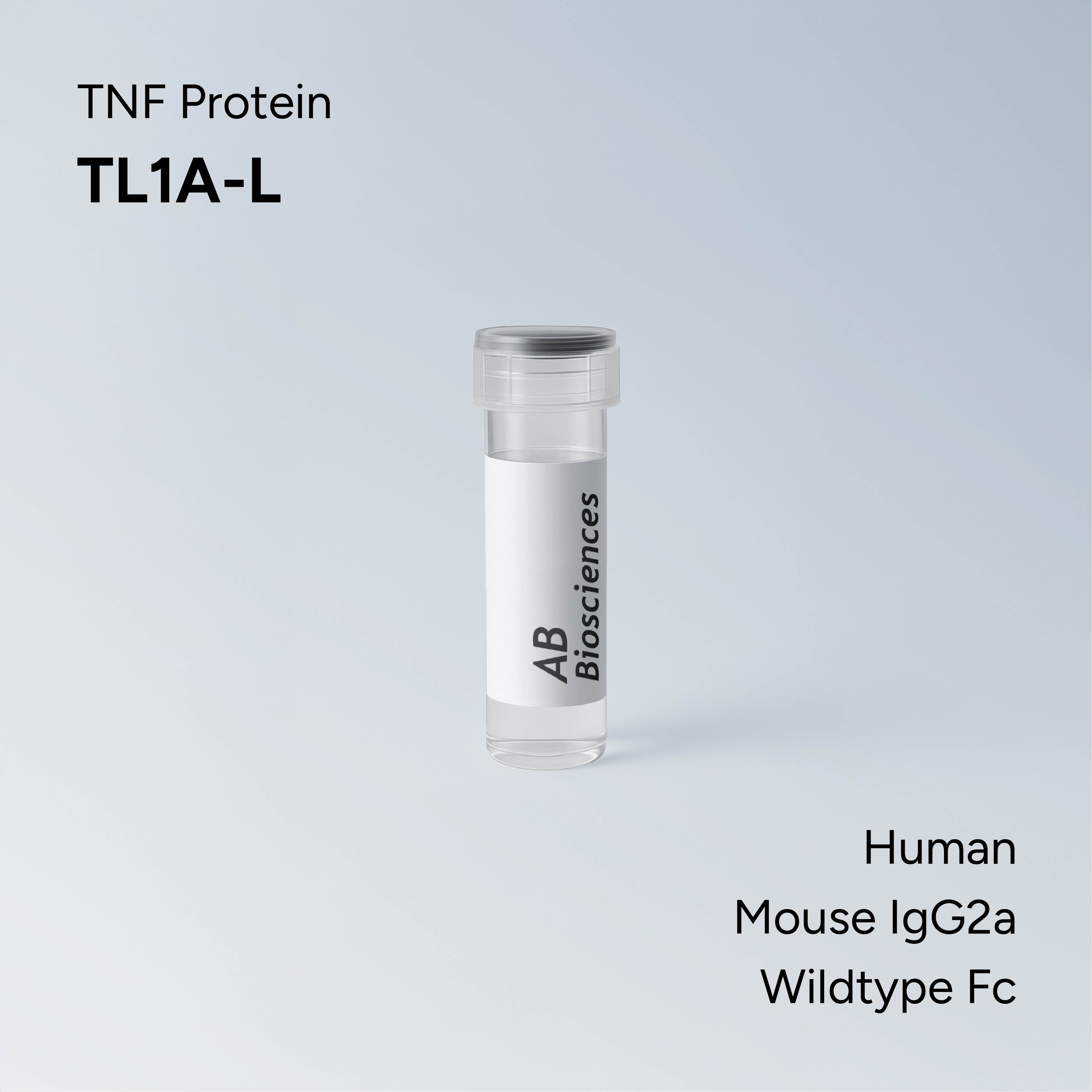 Human TL1A-L Mouse IgG2a Wildtype Fc