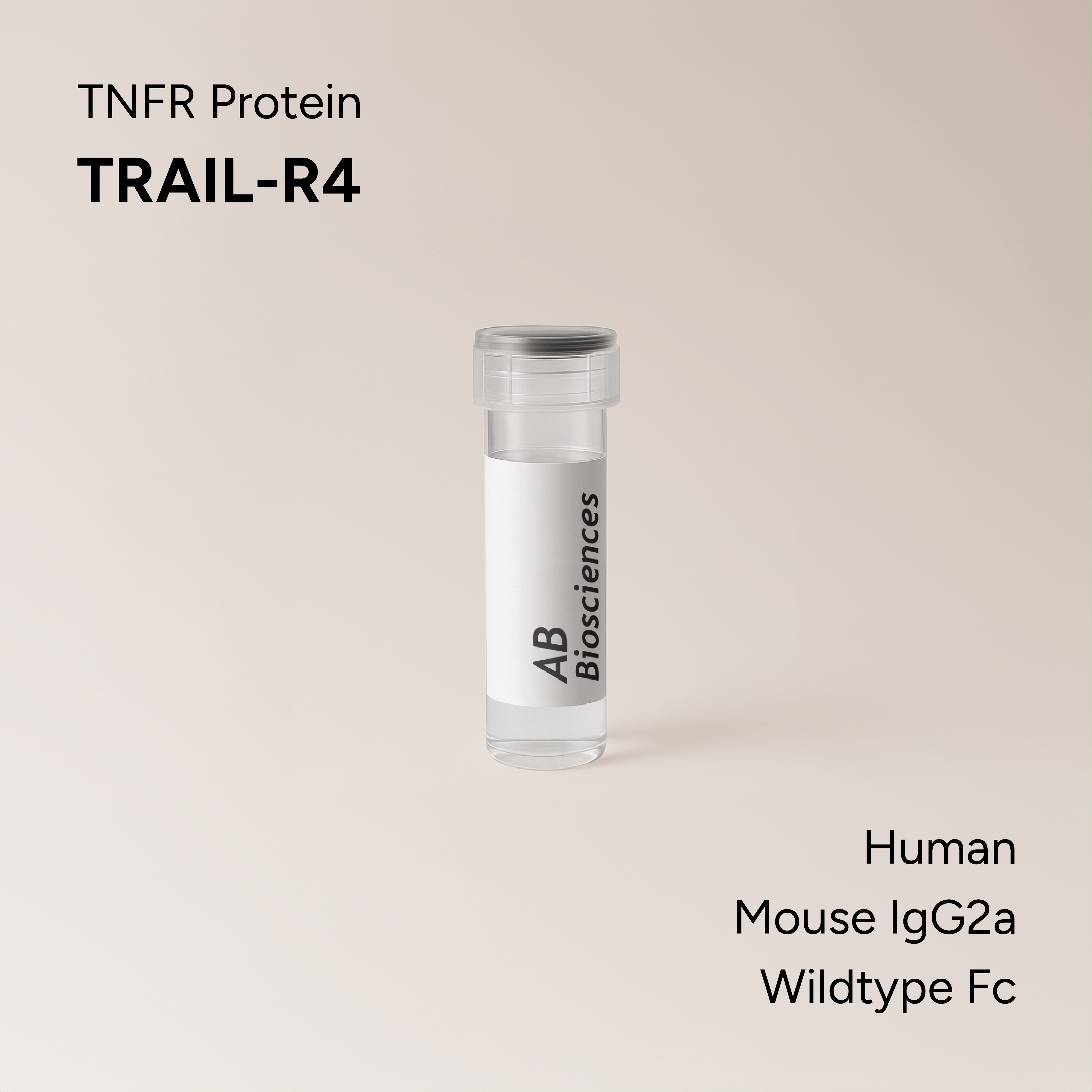 Human TRAIL-R4 Mouse IgG2a Wildtype Fc