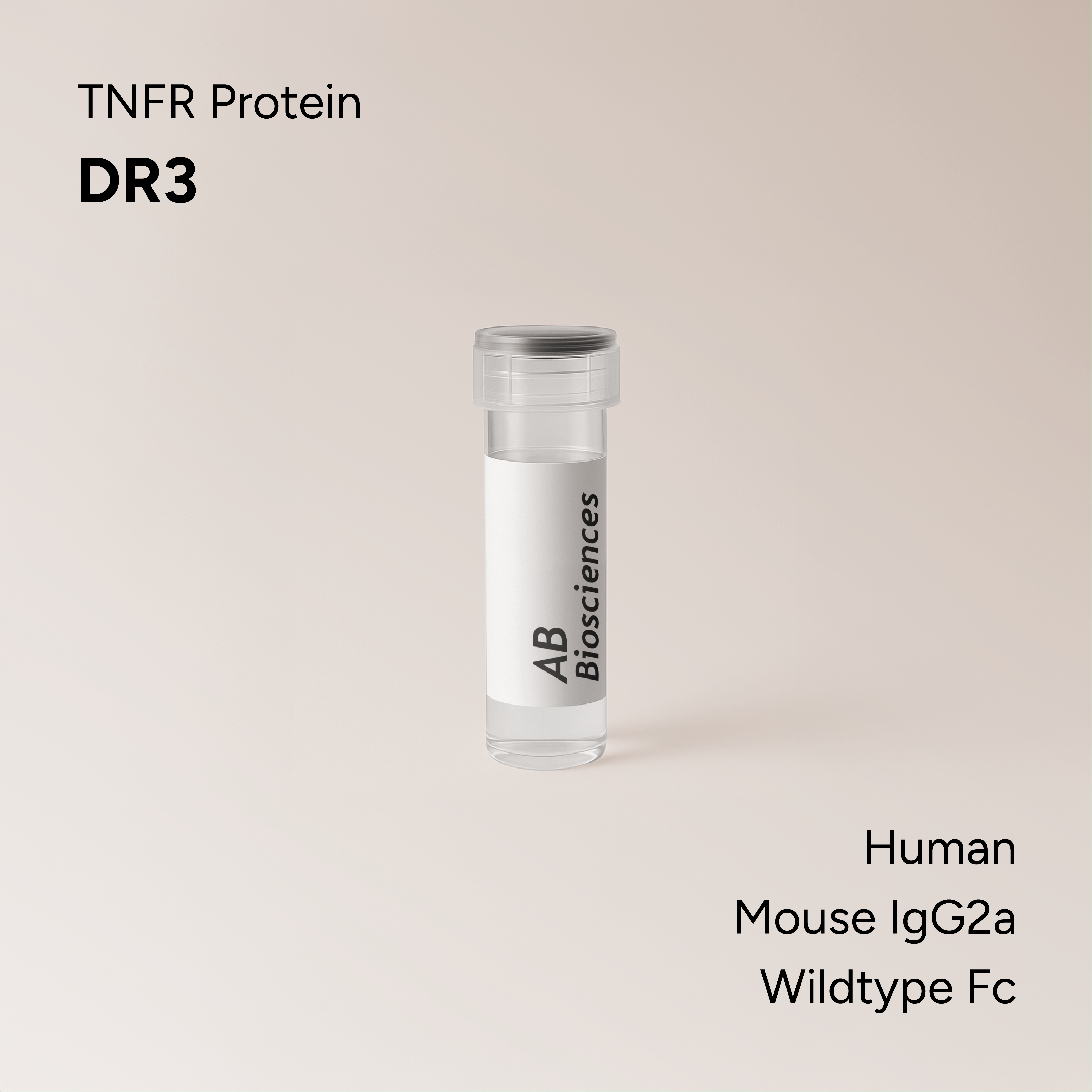 Human DR3 Mouse IgG2a Wildtype Fc