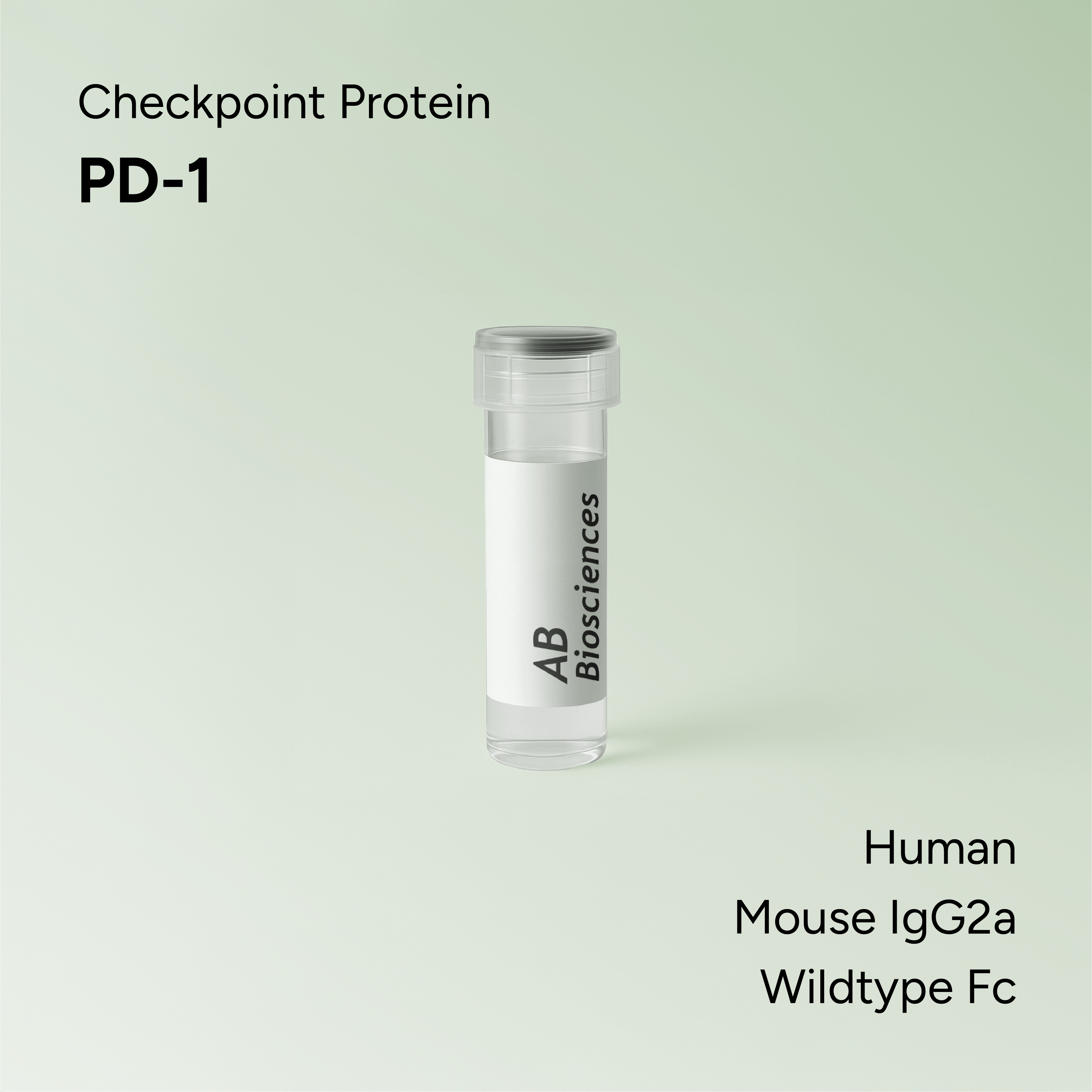 Human PD-1 Mouse IgG2a Wildtype Fc