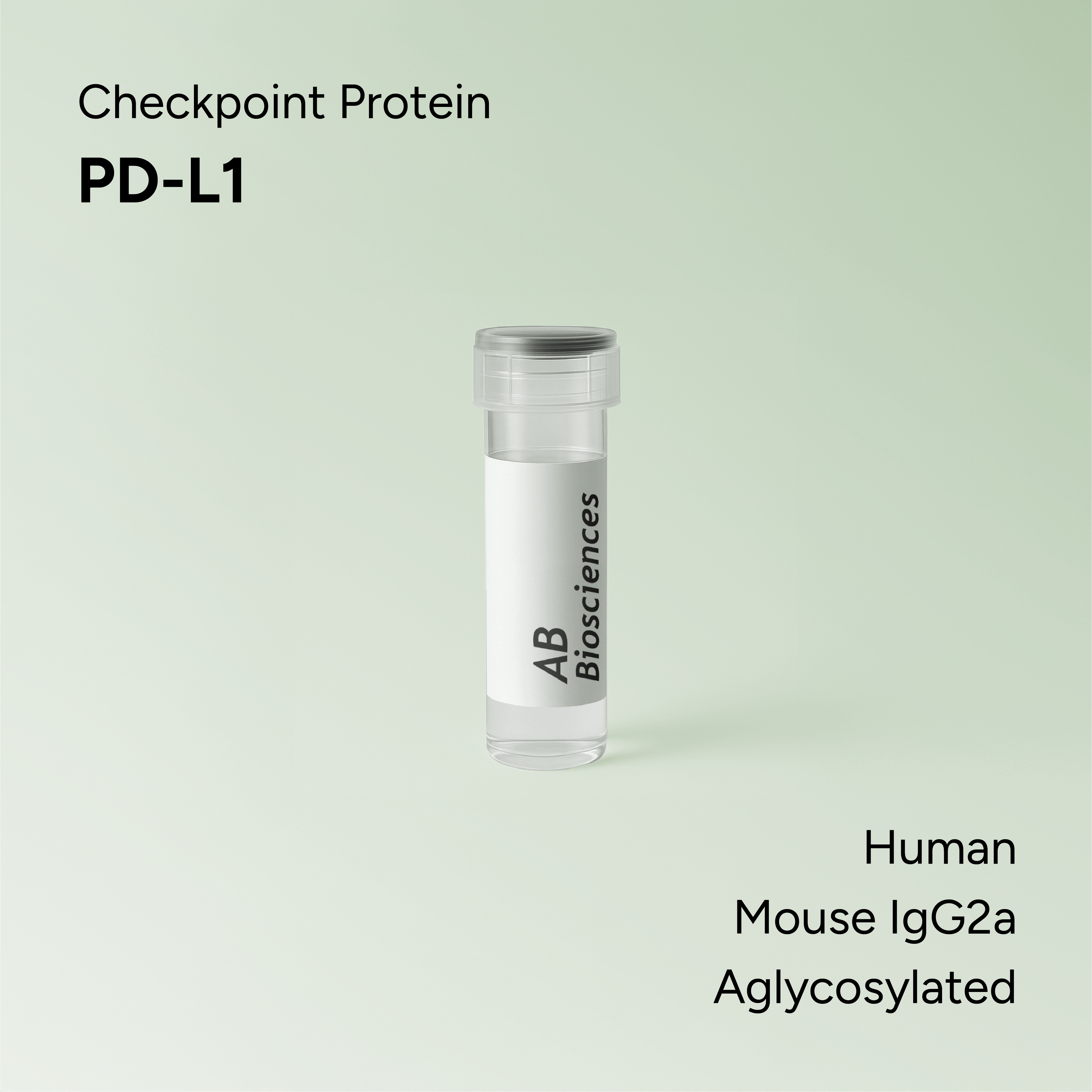 Human PD-L1 Mouse IgG2a Aglycosylated Fc