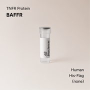Human BAFFR His-Flag
