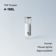 Human 4-1BBL Mouse IgG2a Aglycosylated Fc