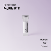 Human FcγRIIa R131 GST