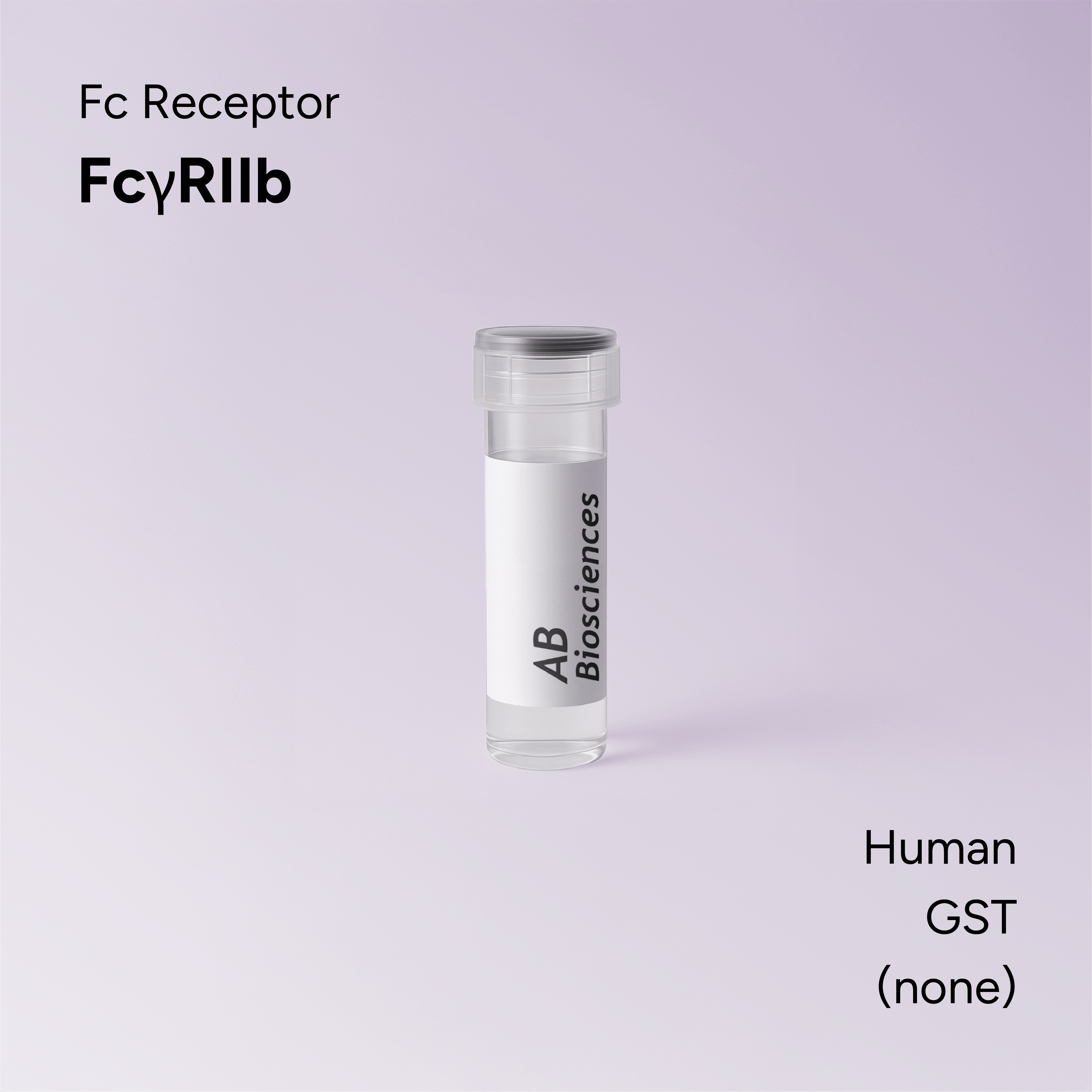 Human FcγRIIb GST