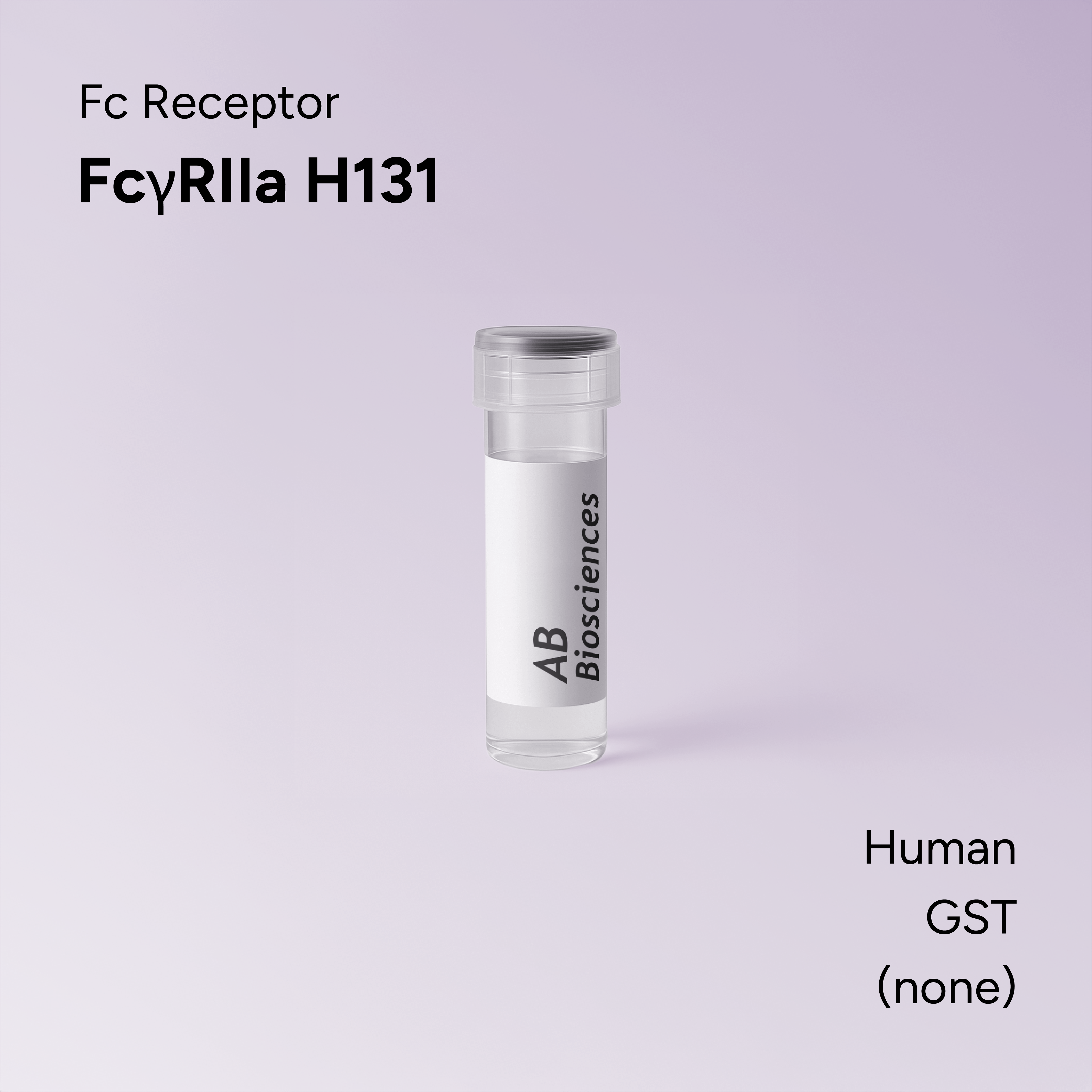 Human FcγRIIa H131 GST