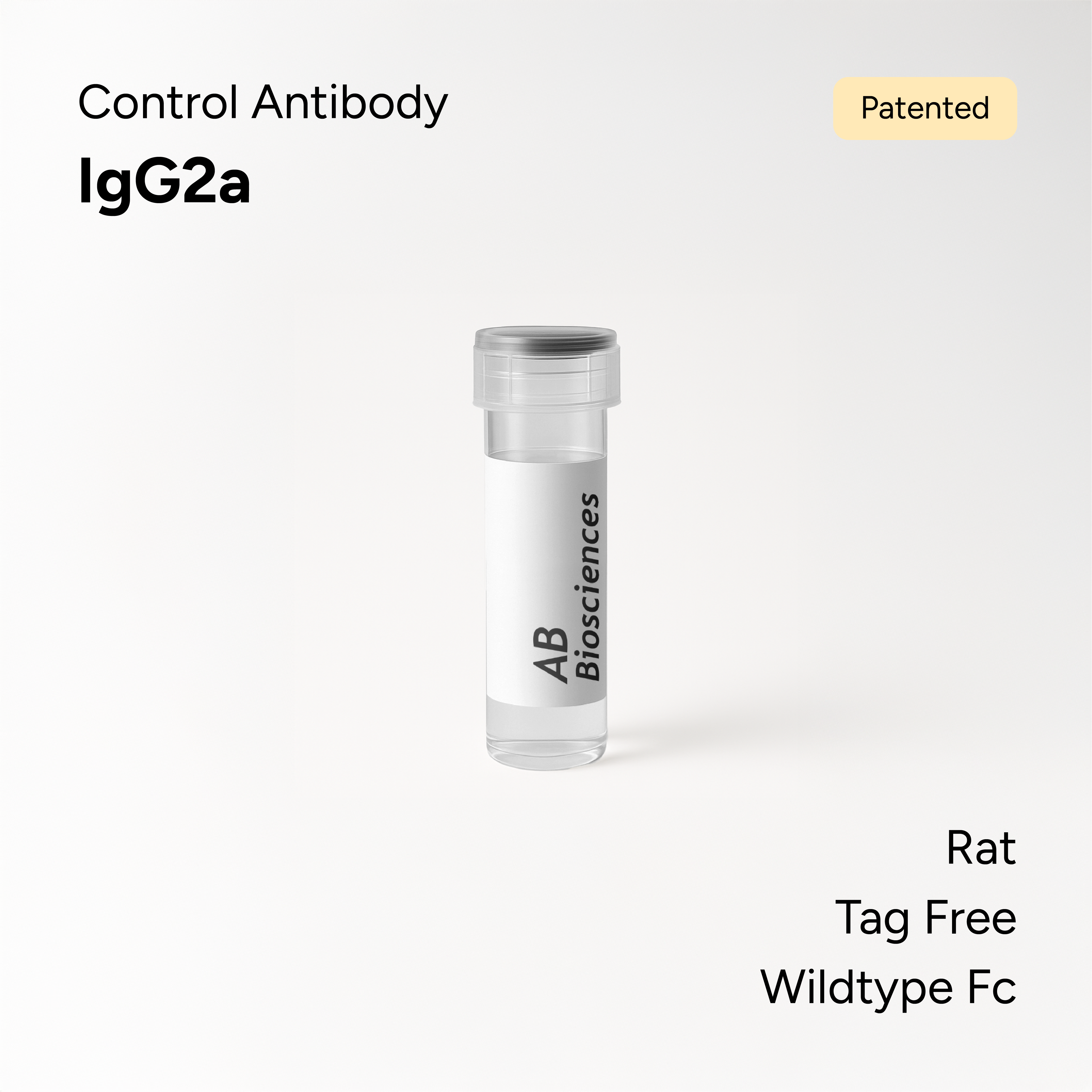 Rat Control Antibody IgG2a Wildtype Fc Biotin