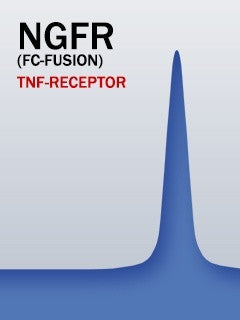 NGFR (Fc-Fusion)