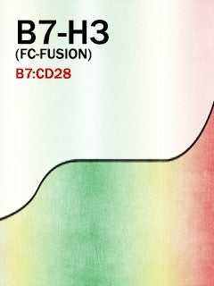 B7-H3 (Fc-Fusion)