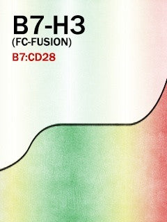 B7-H3  (Fc-Fusion)