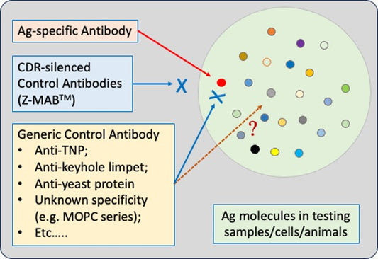 Regarding Control Antibody