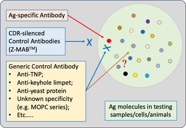 Regarding Control Antibody