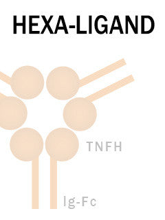 TNF Superfamily Proteins (Hexa-Ligands)