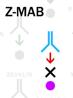 Z-MAB® Next Generation Control Antibody
