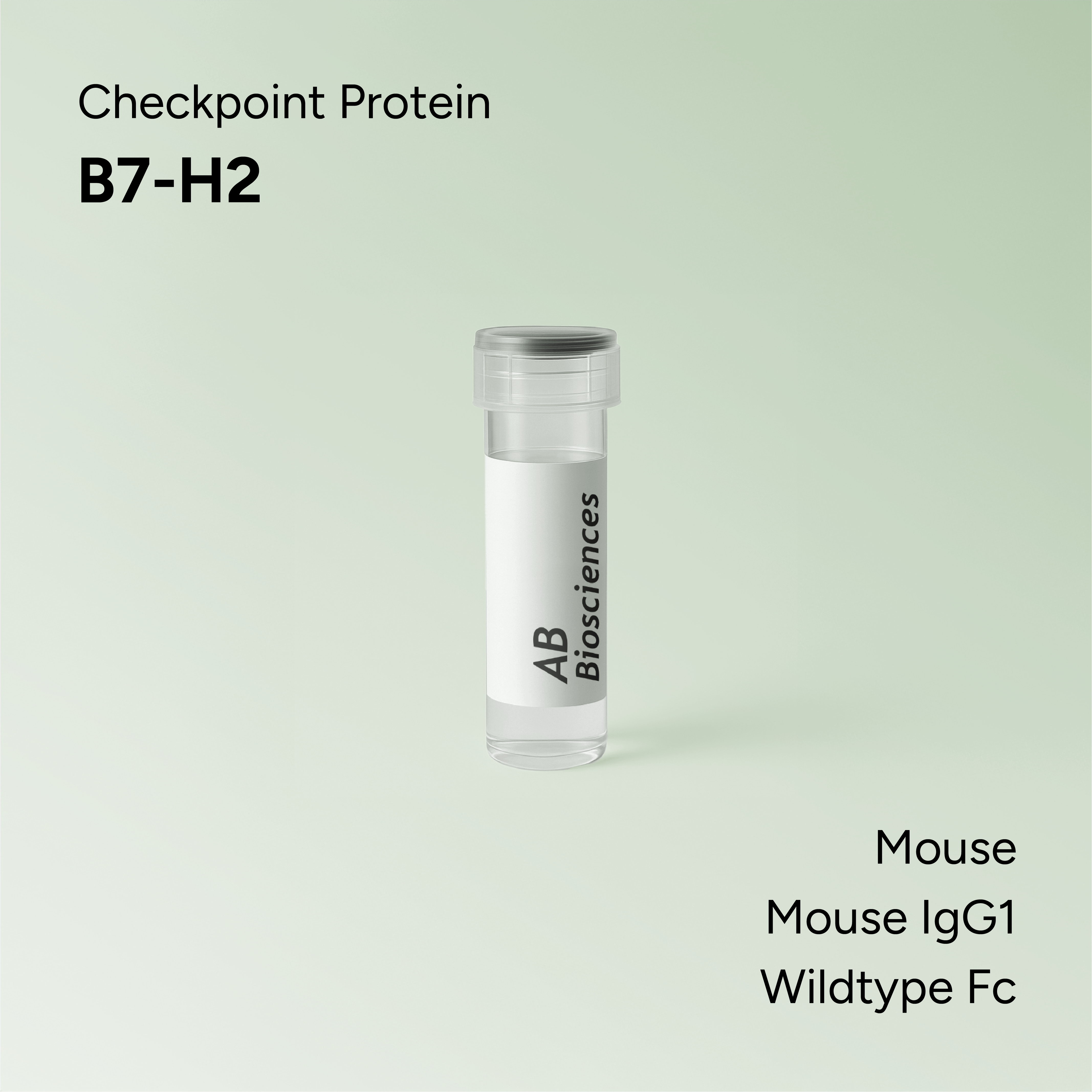 Mouse B7-H2 Mouse IgG1 Wildtype Fc
