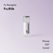 Mouse FcγRIIb GST