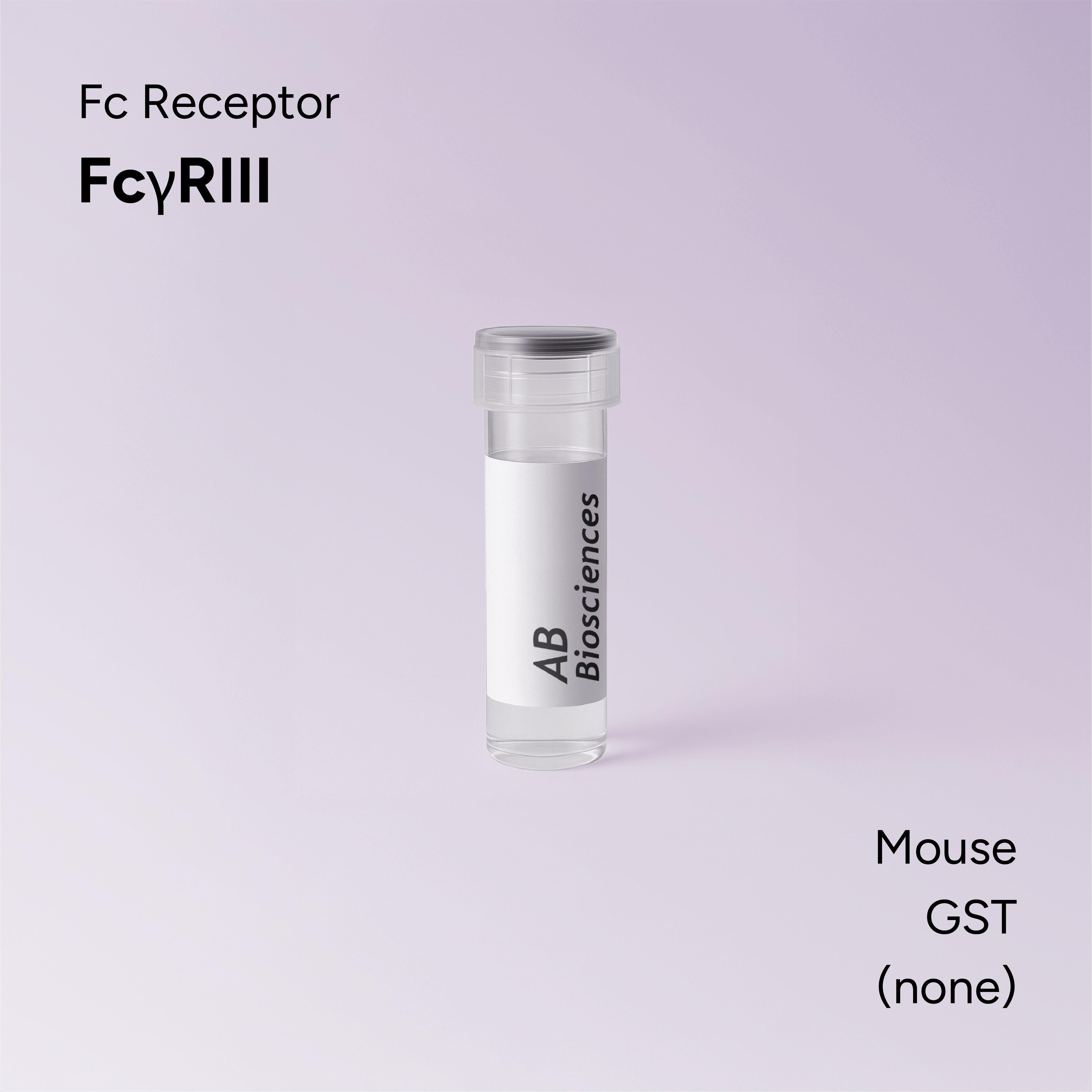 Mouse FcγRIII GST