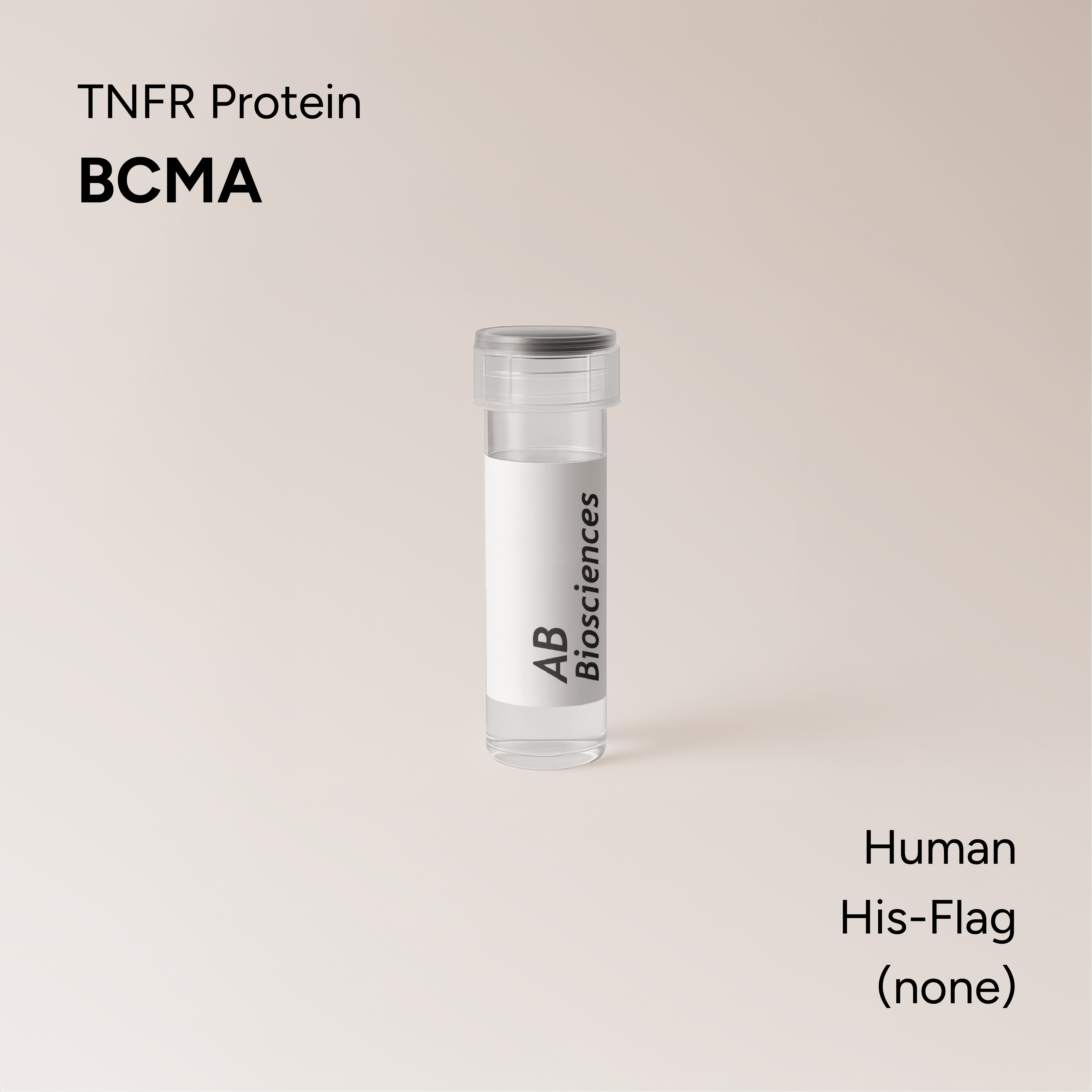 Human BCMA His-Flag