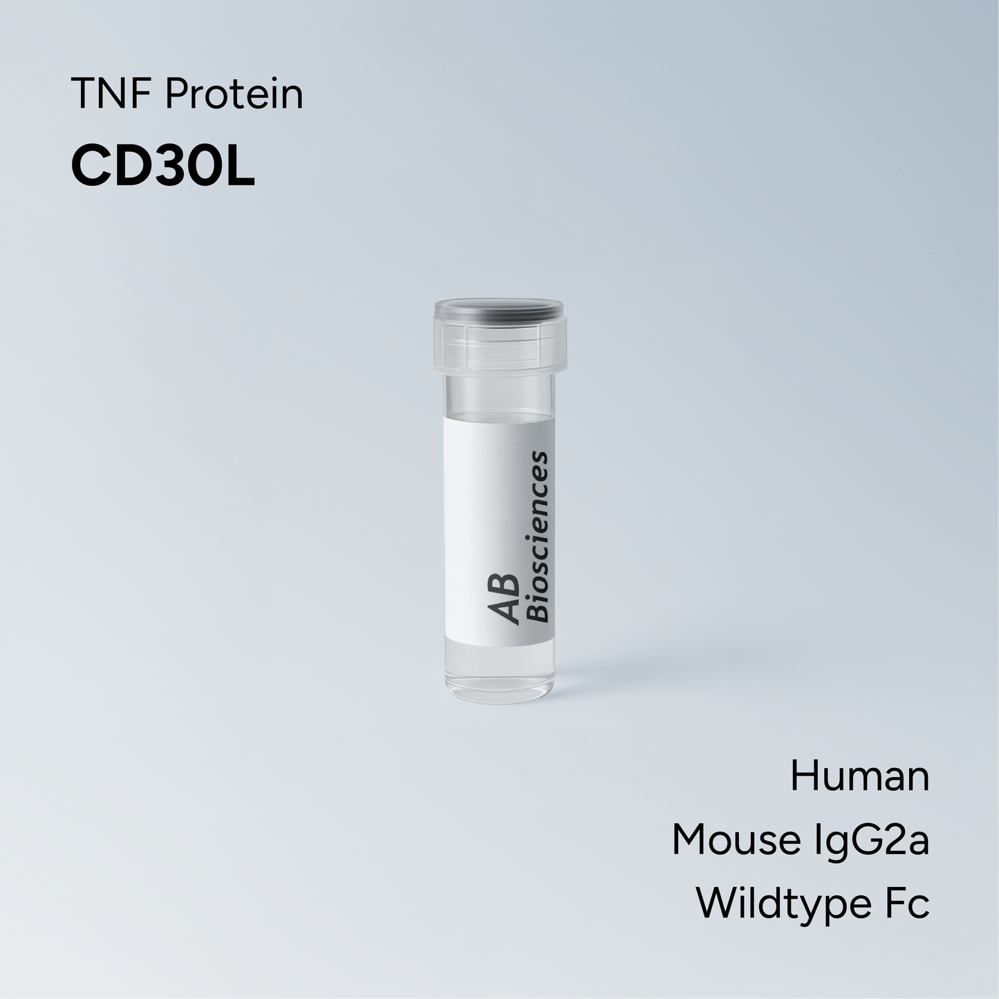 Human CD30L Mouse IgG2a Wildtype Fc