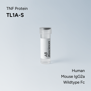 Human TL1A-S Mouse IgG2a Wildtype Fc