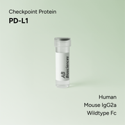Human PD-L1 Mouse IgG2a Wildtype Fc