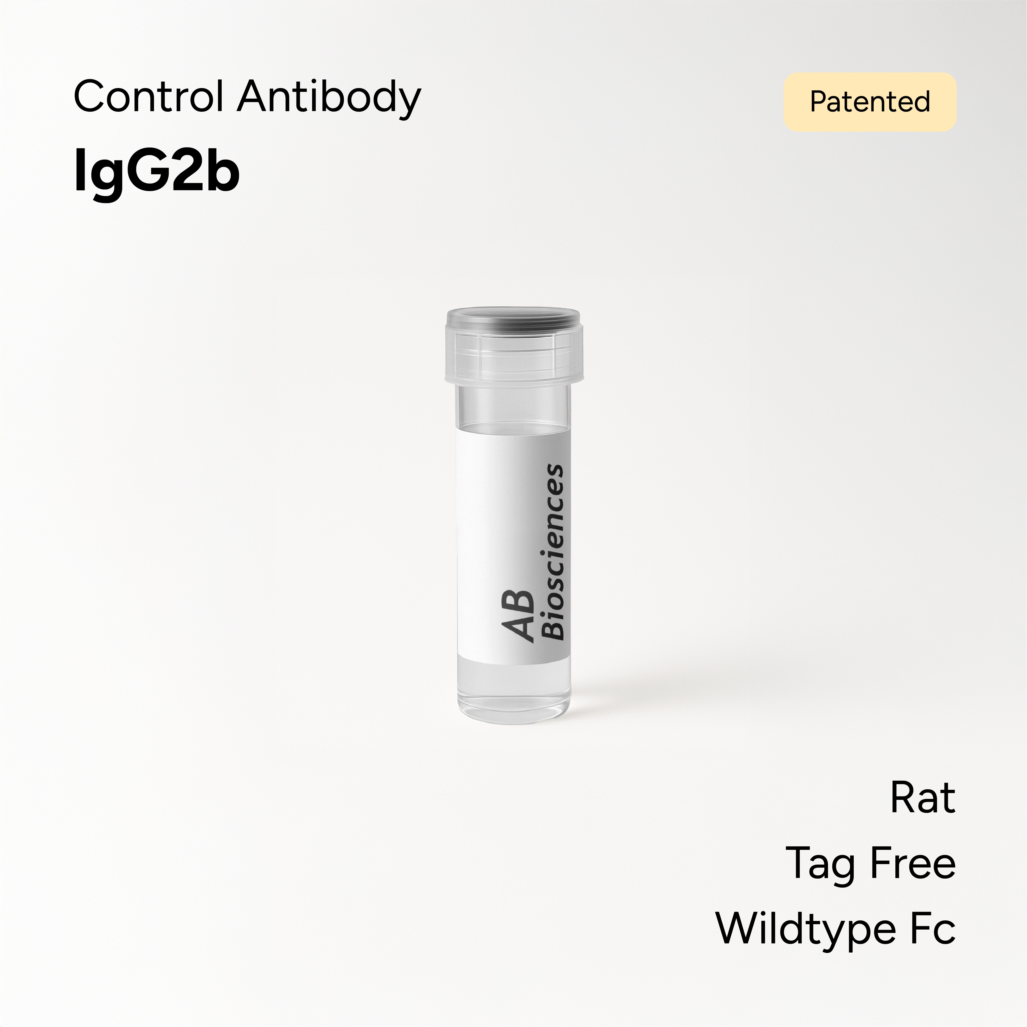 Rat Control Antibody IgG2b Wildtype Fc Biotin