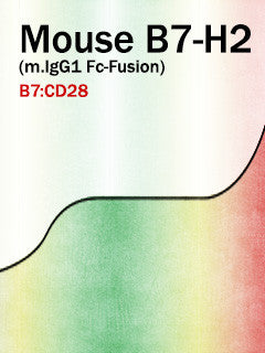 Mouse B7-H2 (m.IgG1 Fc-Fusion)