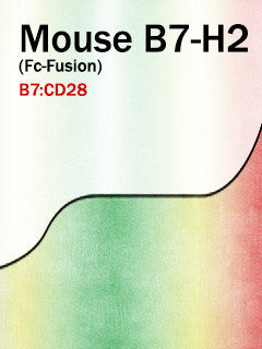 Mouse B7-H2 (Fc-Fusion)
