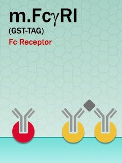 Mouse FcγRI (GST-Fusion)