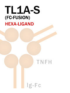 TL1A-S (Fc-Fusion)