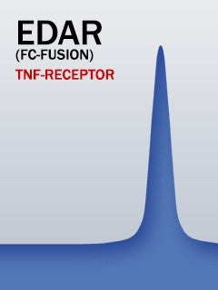 EDAR (Fc-Fusion)