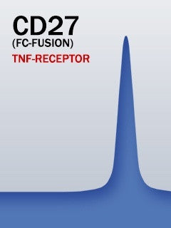 CD27 (Fc-Fusion)