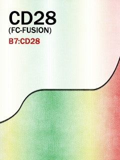 CD28 (Fc-Fusion)