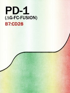 PD-1 (Aglyco-Fc-Fusion)