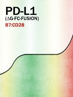 PD-L1 (Aglyco-Fc-Fusion)