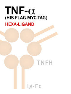 TNF-α (His-FLAG-Myc-Tag)