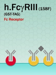 Human FcγRIIIa (F158) (GST-Fusion)