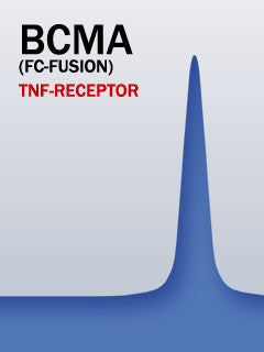 BCMA (Fc-Fusion)