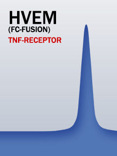 HVEM (Fc-Fusion)