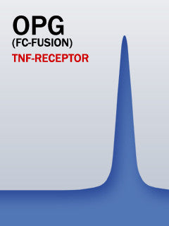 OPG (Fc-Fusion)